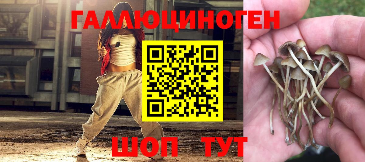 Галлюциногенные грибы Cubensis  Вход с VPN  Армавир  Псилоцибиновые грибы Cubensis 